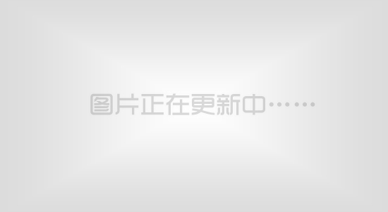 泵䳵
